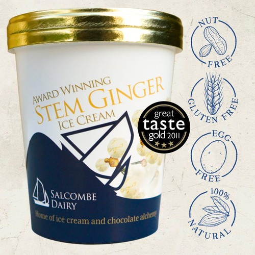 Salcombe Dairy Stem Ginger Ice Cream