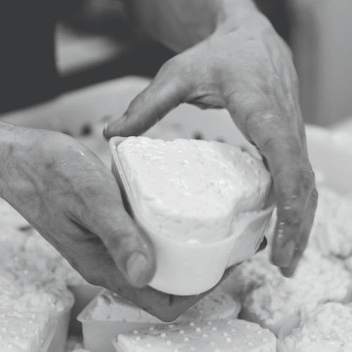 Daylesford Organic Baywell Cheese