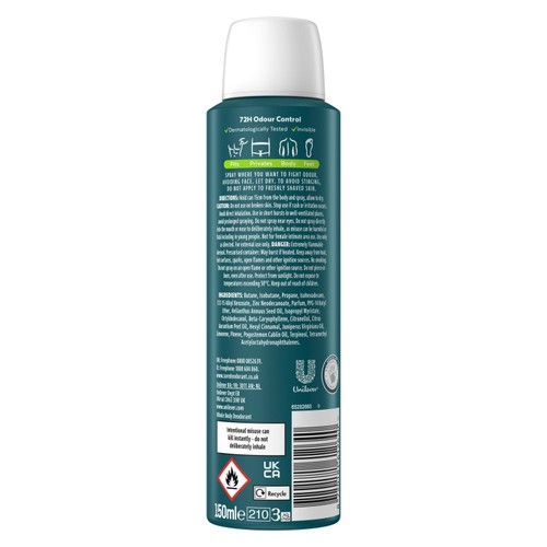 Sure Men Whole Body Active Fresh Deodorant