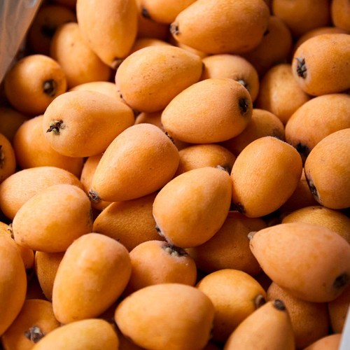 Natoora Fresh Spanish Loquats