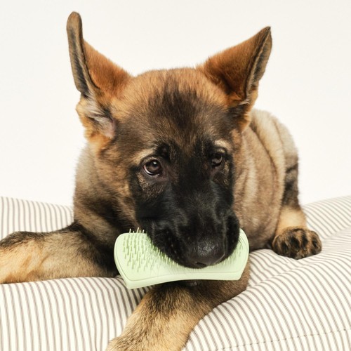 Pet Teezer Puppy Brush Green