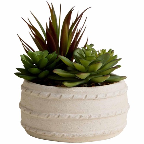 M&S Artificial Succulent in Ceramic Pot, Natural