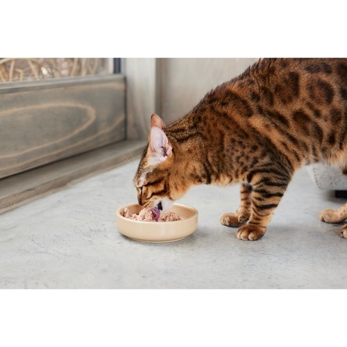 Thrive Complete Cat Food Tuna Fillet