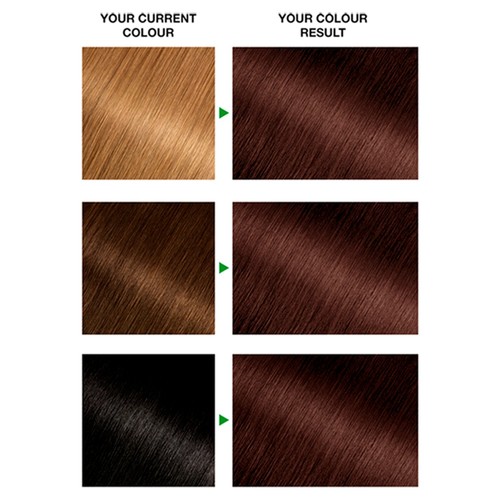 Garnier Nutrisse Ultra-Colour 4.15 Iced Coffee Permanent Hair Dye