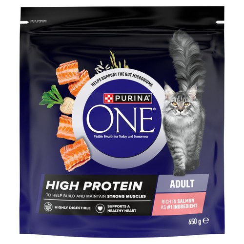 Purina One High Protein Salmon Dry Cat Food