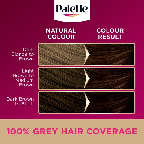 Palette DLX 3-65 Chocolate Brown GB