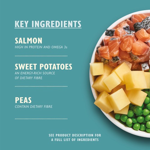 Lily's Kitchen Salmon Supper Grain Free Complete Adult Dry Dog Food
