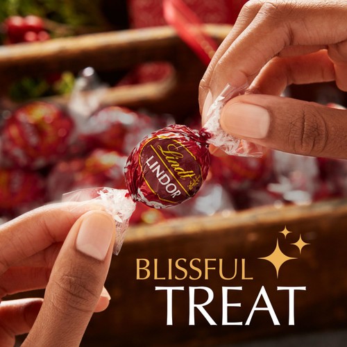 Lindt Lindor Double Chocolate Truffles Box