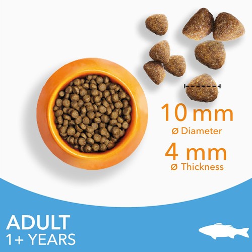 IAMS Adult Dry Cat Food Ocean Fish