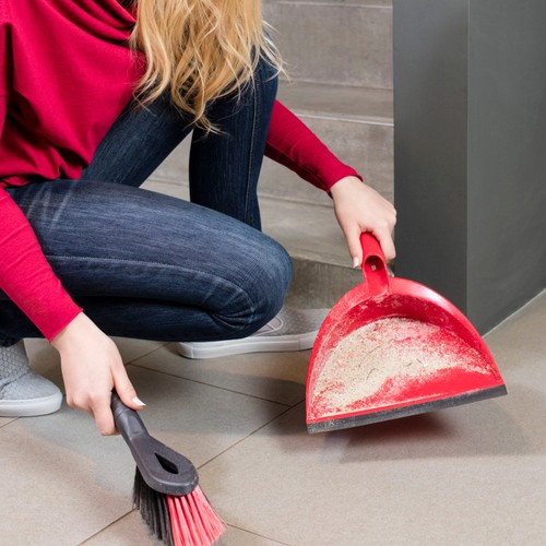 Vileda 2 in1 Dustpan & Brush Set