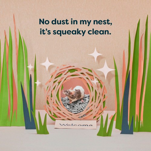 Back 2 Nature Small Animal Paper Bedding/Litter