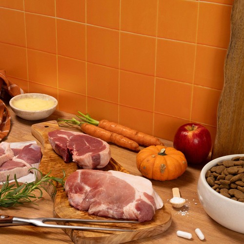 Pooch & Mutt Primal Wild Boar Meat Dry Food