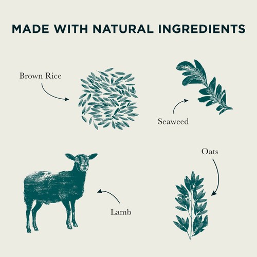 Burns Original Lamb & Brown Rice