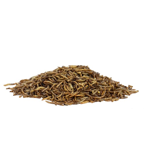 Peckish Mealworms For Wild Birds