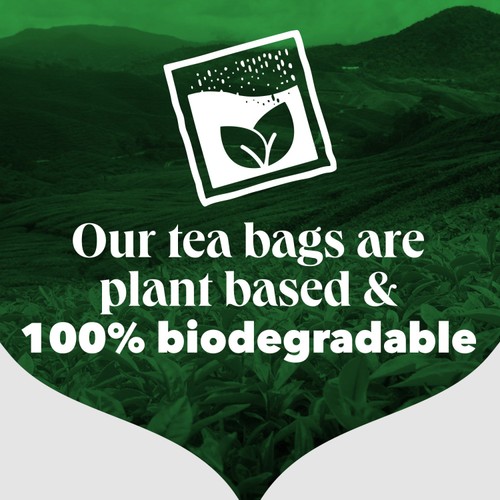 PG Tips Original Black Tea Loose