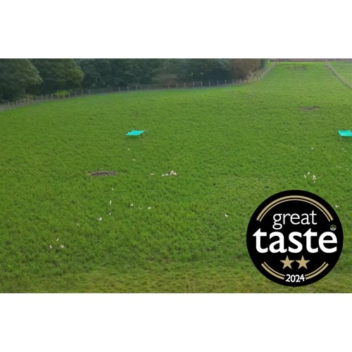 Packington Free Range White Eggs