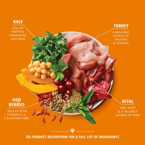 Lily's Kitchen Lean Machine Tin for Dogs