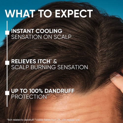 Head & Shoulders Menthol Shampoo