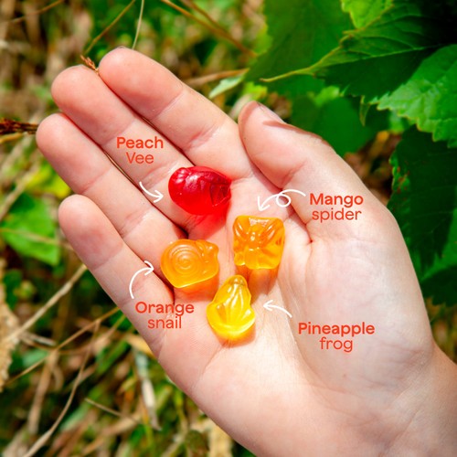 Wild Thingz Sweets Tropical Mix