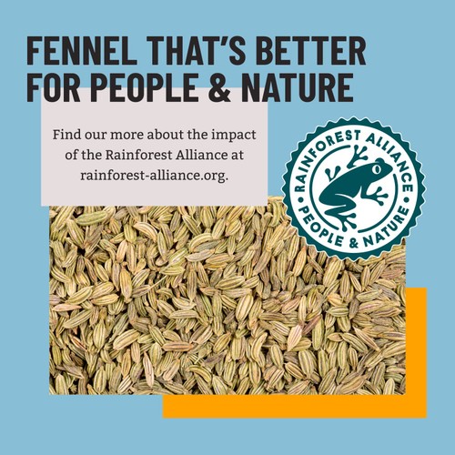 Bart Fennel Seed