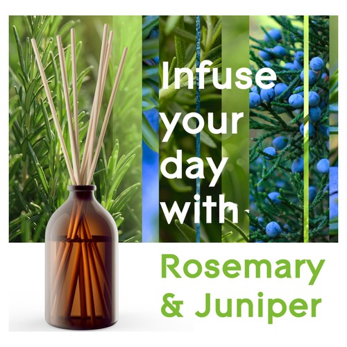 Glade Aromatherapy Reed Diffuser Refreshing Energy