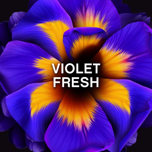 Lenor Unstoppables  Violet Fresh Scent Booster