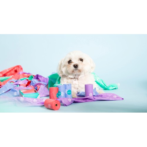 Adios Compostable Dog Poo Bags - Rainbow 