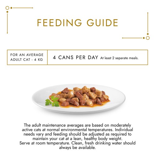 Gourmet Gold Chunks in Gravy Salmon and Chicken Wet Cat Food 