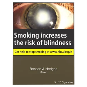 Benson & Hedges Silver Kingsize Multipack