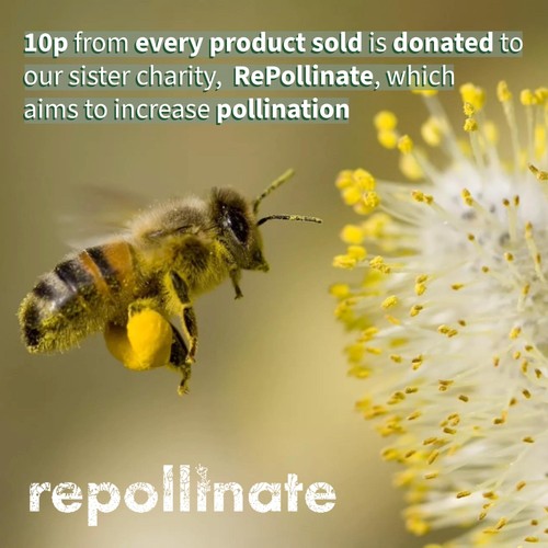 Scottish Bee Company Raspberry dressing