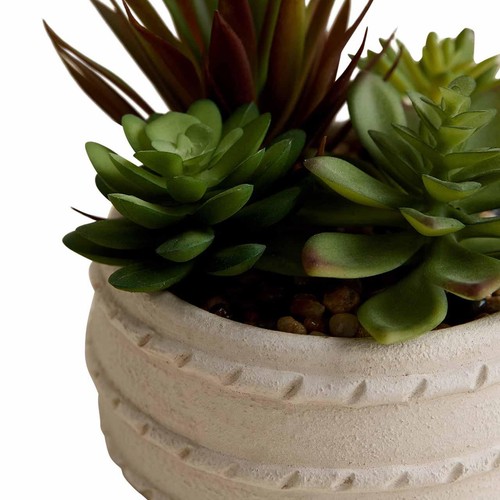 M&S Artificial Succulent in Ceramic Pot, Natural