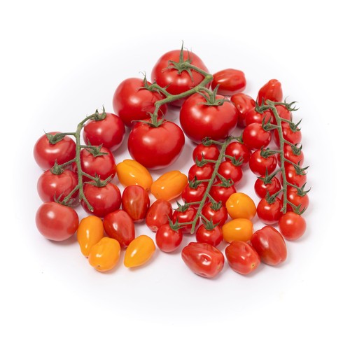 Isle of Wight Tomato Organic Selection