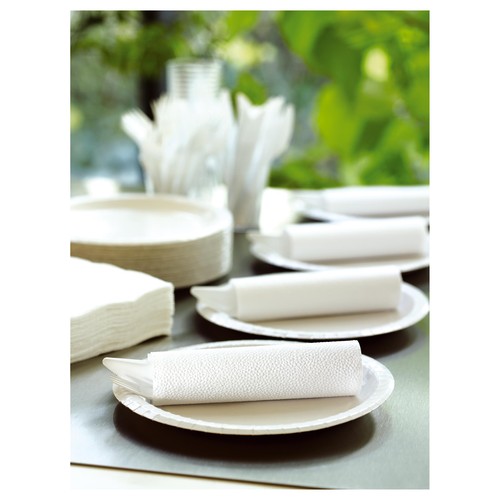 White Coated Paper Plates