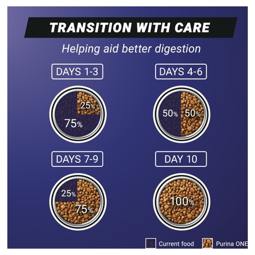 Purina One High Protein Chicken Dry Cat Food