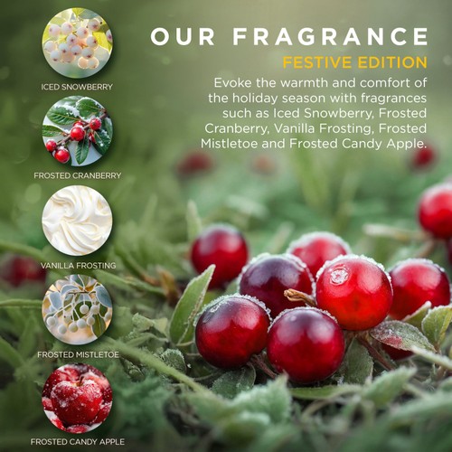 Baylis & Harding Festive Luxury Assorted Bathing Gift Set