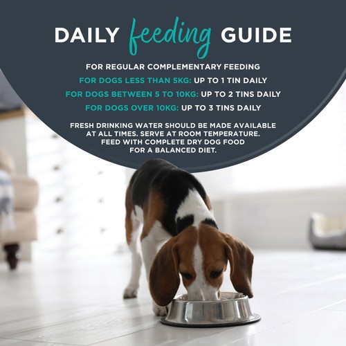 Encore Natural Wet Dog Food Tin Chicken Breast with Ham in Broth
