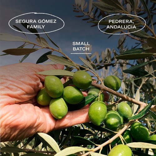 Citizens of Soil Lemon Aromatic Olive Oil