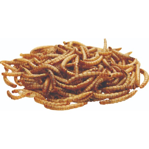 National Trust CJ Wildlife Dried Mealworms