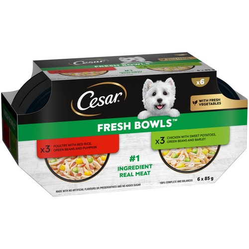 Cesar Fresh Bowl Adult Wet Dog Food Chicken & Poultry in Gravy