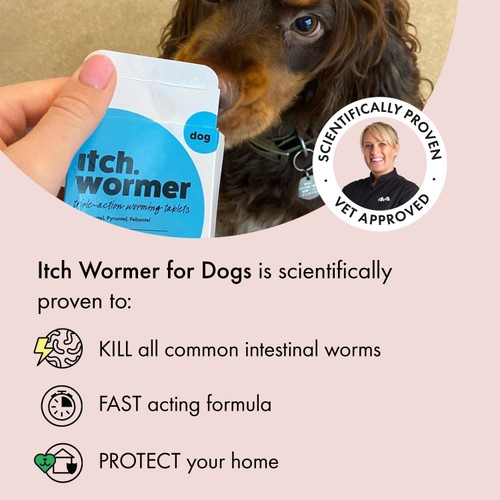 Itch Wormer Tablet Treatment For Dogs (3-20kg)