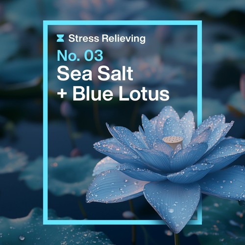 INEOS Skin Science Sea Salt & Blue Lotus Handwash