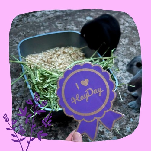 HayDay Coarse & Crunchy Alfalfa Hay