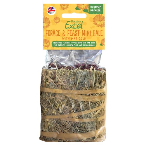 Burgess Excel Forage and Feast Hay Bale with Marigold