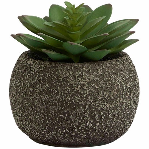 M&S Moss & Sweetpea Artificial Mini Succulent Pot, One Size, Green