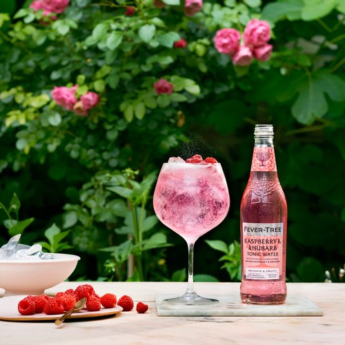 Fever-Tree Light Rhubarb & Raspberry Tonic 