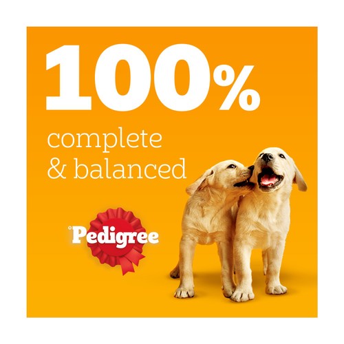 Pedigree Puppy Wet Dog Food Tins Mixed in Jelly 