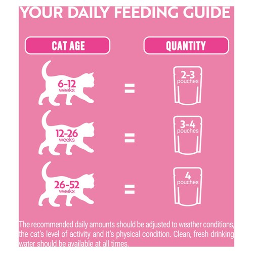 PURINA ONE Kitten Mini Fillets Salmon and Chicken Wet Cat Food
