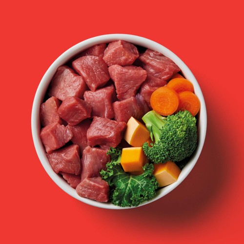 Nutriment Beef Formula Raw Dog Food