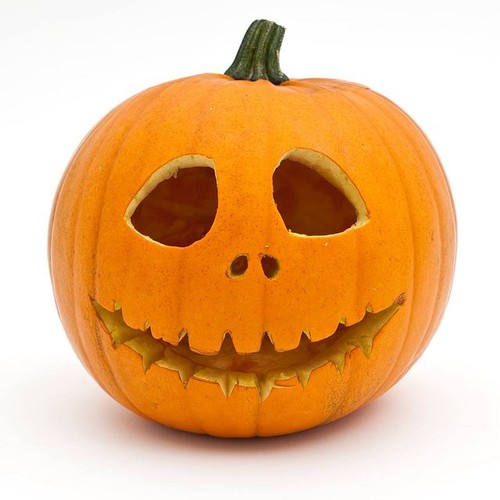Ocado Carving Pumpkin (Typical Diameter 17-24cm)