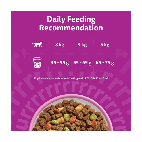 Whiskas 1+ Adult Dry Cat Food with Salmon
